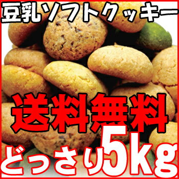 おから豆乳クッキー ソフト 国産 5kg 業務用 常温商品