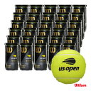 ウイルソン（Wilson）　テニスボール　US OPEN EXTRA DUTY　（USオープン エクストラ