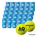  N[|10OFFΏۏiF720܂  bv DUNLOP ejX{[ AUSTRALIAN OPEN I[XgAI[v  2 1 30 60  DAOYL2DOZ