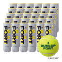 ダンロップ（DUNLOP）　テニスボール　FORT（フォート）4球入　1箱（30缶/120球）