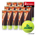 ダンロップ(DUNLOP) テニスボール St.JAMES(セントジェームス)4球入 1箱(17缶