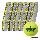 ダンロップ DUNLOP テニスボール DUNLOP FORT（ダンロップ・フォート） 2球入 1箱（30