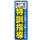 のぼり「親切丁寧プロの指導 特訓」のぼり屋工房 GNB-1594 幅600mm×高さ1800mm/業務用/新品/テンポス