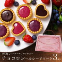 バレンタイン バレンタインチョコ チョコロンヘルシーアソート...