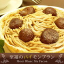 【送料無料】バースデーケーキ栗好きが唸る!濃厚フランス栗のたまらない美味しさ『至福のパイモンブラン』