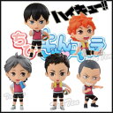 ハイキュー!! グッズ フィギュア ちびきゅんキャラ 『ハイキュー!!』 〜烏野バレー部 休憩中!!〜 全5種セット 【即納品】