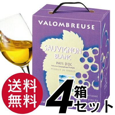 【楽天市場最安値に挑戦!!】【送料無料】ジャン・ジャン ソーヴィニヨンブラン白 3リットル×4箱 （1ケース）【BOXワイン】【ボックスワイン】【3L BIB】ジャンジャン　[お取り寄せ]【smtb-TK】色味は明るい黄金色。柑橘系の清々しさと白い花のような香り。さわやかな風味をかすかな酸が引き締めてしっかりした味わい。ソーヴィニヨン・ブランを100%使用しております。