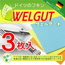 【ポイント10倍！送料無料・メール便】エコ大国ドイツ直輸入ドイツのフキン [キッチンワイプ]【WELGUT ヴェルグート】3枚入ドイツ雑貨セール【ポイント対策に】【ドイツのふきん スポンジワイプ】05P17Aug12円高還元！★1枚あたり166円で最安値挑戦中！★【3枚セットでこの値段！】ポイント消化に最適♪お試し特価★ドイツで人気のスポンジクロス半額以下の激安価格！