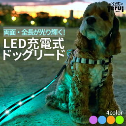 犬 リード 光る led 充電式 ライト ドッグリード 1.2m 小型犬 中型犬 大型犬 送料無料 メール便 即日発送 <strong>ペット用品</strong> 全長全面ライト付き 夜間 安全対策 単色カラー TERUI Lights