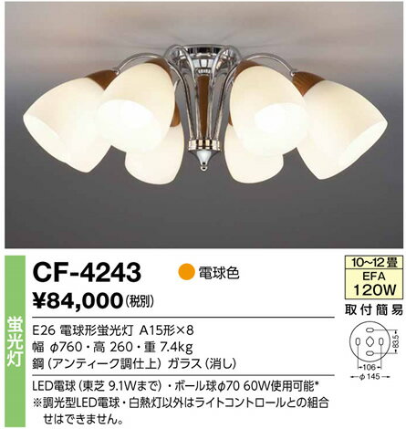 Design Lighting@D.Scandza D.XJU@VfA@ CF-4243yP0601z
