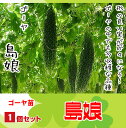 【てしまの苗】H29年4月上旬より順次発送【1株】ゴーヤ苗 島娘 実生苗 9cmポット10P18Jun16野菜苗