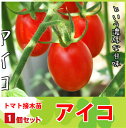 【てしまの苗】H29年4月上旬より順次発送【1株】ミニトマト苗 アイコ 断根接木苗 9cmポット10P18Jun16野菜苗