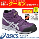 【数量限定】【あす楽対応】【新色】アシックス(as