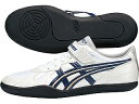 asics タイガーパウ FWING-AR