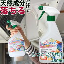 テラ・パワーウォッシュ しつこい汚れ用 (原液タイプ) 48...