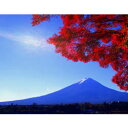 【送料無料】ときめきの富士『彩雲紅葉(特大サイズ)』
