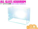 ガラス水槽 60cm水槽 幅60×奥行23×高さ28cm 水...