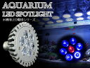交換球 LED スポットライト 青6/赤1 照射角60度 水槽用照明 LED照明 LEDライト 【アクアリウム 熱帯魚 淡水魚 海水魚 水草 サンゴ イソギンチャク ミドリイシ シャコガイ 観賞魚 水槽 レイアウト】