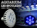 交換球 LED スポットライト 青6灯 照射角60度 水槽用照明 LED照明 LEDライト 【アクアリウム 熱帯魚 淡水魚 海水魚 水草 サンゴ イソギンチャク ミドリイシ シャコガイ 観賞魚 水槽 レイアウト】