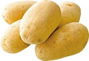 【家計応援】【野菜箱売り】北海道産 メークイン L M 10kg|19099:野菜