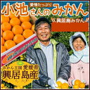 小池さんの訳ありみかん サイズ混合 5kg 11月15日から...