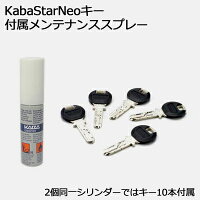 KabaStarNeo(カバスター・ネオ)シリンダー錠MIWATHMタイプ+LIXタイプ鍵交換取替え用2個同一キーセット【Kaba6159+6150】【組合せ1】