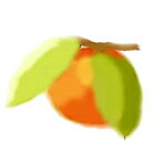 マンダリン・レッド エッセンシャルオイル 100％オーガニック精油　10mlアロマテラピー オーストラリア産 ACO認定オーガニック精油癒しの香り 柑橘系