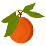 オレンジスイート（100％オーガニック）5ml 期間限定割引オーストラリア産　アロマテラピー ACO認定オーガニック精油癒しの香り 柑橘系