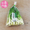 【山菜】【アサツキ】【送料無料】 200g×10セット 山形県庄内産 産地直送 浅葱 あさつ