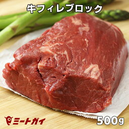 牛ヒレブロック <strong>500</strong>gカット (牛フィレ肉かたまり) ステーキ肉/牛肉ステーキ最高級部位！塊肉で焼肉三昧・バーベキュー肉 牛肉 赤身 ●雑誌掲載商品● グラスフェッドビーフ 牧草飼育牛肉/牧草牛 免疫力-B105