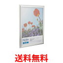 HAKUBA FAPE-SVA4 ハクバ FAPESVA4 額縁 アルミ 額 ペオリア A4 サイズ シルバー A4 1面 アルミ 送料無料 【SJ06434】