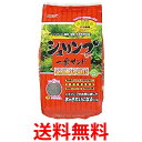 MTG 美姿勢ストレッチ Style Athlete Pol...