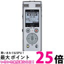 ポイント最大25.5倍 オリンパス Voice Trek DM-750 シルバー(1台) 【SS4545350052188】