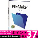 ファイルメーカー FileMaker Pro 16 HL2B2J/A(対応OS:WIN&MAC) 【SS5390045047470】