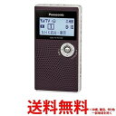 Panasonic ワンセグTV音声対応 FM/AM ラジオ RF-ND50TV-T 【SS4549077209238】