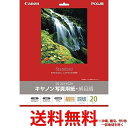 ポイント最大24.5倍!! Canon SG-201YG20 【SS4960999405162】