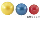 ギムニクカラーボールPLUS#55 直径55cmレッド