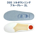 DSIS ソルボランニング ブルーグレー 2L 〈 ランニン...