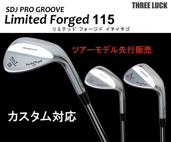 ツアー専用<strong>ウェッジ</strong>　D-TOUR limited Forged 115【送料無料】【カスタム対応】スリーラック　メッキ　サテン <strong>ノーメッキ</strong>　黒染め