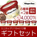 ギフト アイスクリーム ハーゲンダッツ アイスクリーム ギフト セット12個 アイス お礼 お返し 内祝い 出産祝い お祝