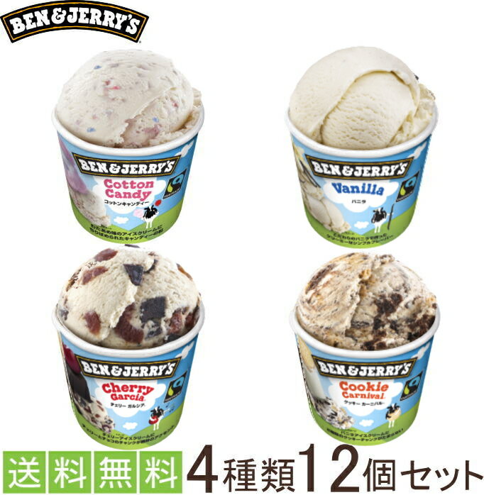  xWF[Y12Zbg ACXN[ Mtg ACX    BenJerrys   Ԃ j oYj j