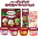 ハーゲンダッツ アイスクリームお中元スペシャルセット