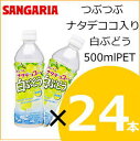 つぶつぶナタデココ入り白ぶどう 500mlPET×24本入り【サンガリア】