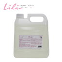 【送料無料】Re:Natural シャンプー(リ ナチュラルシャンプー)4000ml(4L)(レフィル/詰め替え)業務用【アジュバン ADJUBANT】
