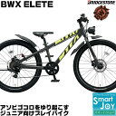 BWX ELETE BWXエリート 24インチ 外