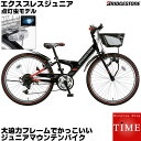 ブリヂストン エクスプレスジュニア 点灯虫 ジュニ