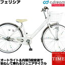 【送料無料】【スポーク飾り付】C.Dream/PROGEAR...