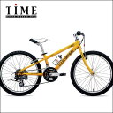 【完全組立済】2009ルイガノ ジュニアマウンテンLGS-J22 (LO...