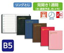 【ポイント2倍】HAKUBUNKAN 博文館新社 2017年1月始まり 手帳 B5 197 ビジネスプランナー 博文館手帳 2016 2017 マンスリー キャラクター スケジュール帳 可愛い デザイン文具 スケジュール帳 手帳のタイムキーパー