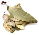インディアンベイリーフ(シナモンリーフ) Bay Leaves 【20g袋入】 / 月桂樹 ハーブ スパイス 香辛料 カレー インド レビューでタイカレープレゼント あす楽